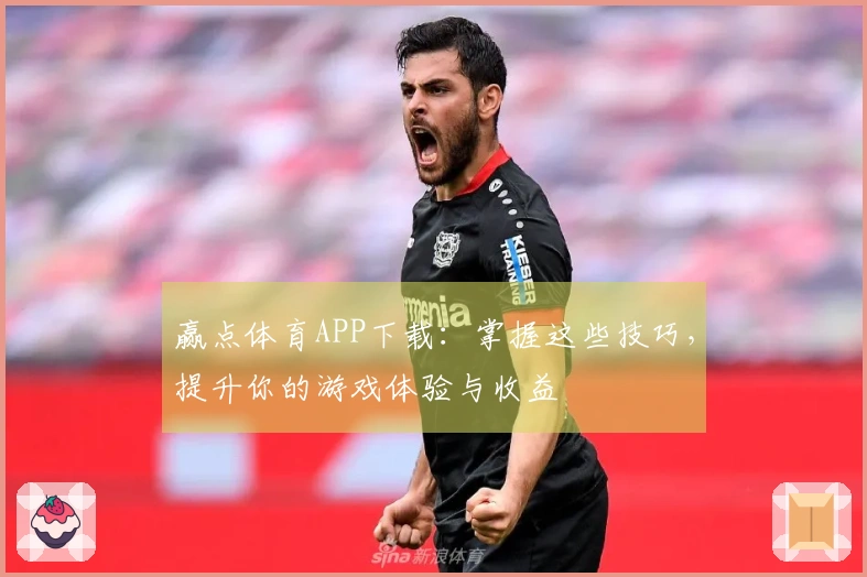 赢点体育APP下载：掌握这些技巧，提升你的游戏体验与收益