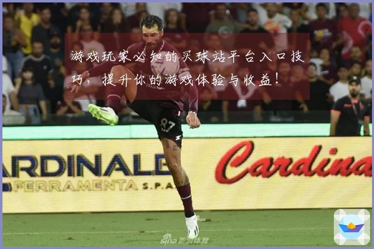 游戏玩家必知的买球站平台入口技巧，提升你的游戏体验与收益！