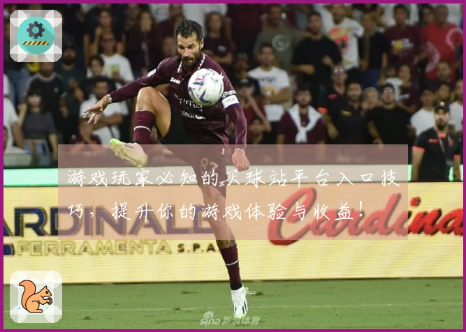 游戏玩家必知的买球站平台入口技巧，提升你的游戏体验与收益！