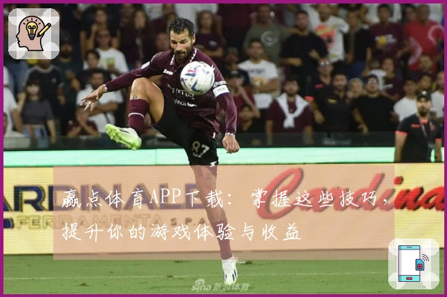 赢点体育APP下载：掌握这些技巧，提升你的游戏体验与收益