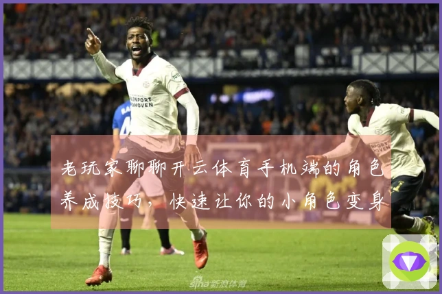 老玩家聊聊开云体育手机端的角色养成技巧，快速让你的小角色变身大佬！