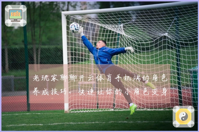 老玩家聊聊开云体育手机端的角色养成技巧，快速让你的小角色变身大佬！